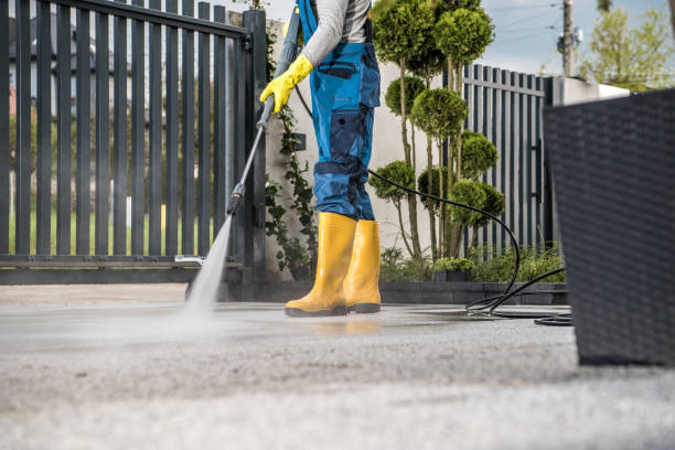 Best Pressure Washing Driveway  in Meadville, PA